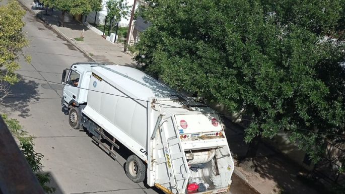 Cómo funcionarán los servicios durante el feriado del 25