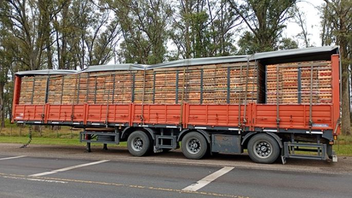 Recuperaron un acoplado con la carga, pero no el camión
