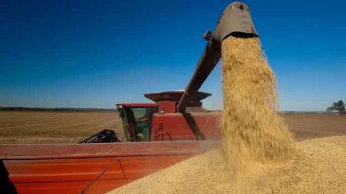 Representará un tercio de la producción del país