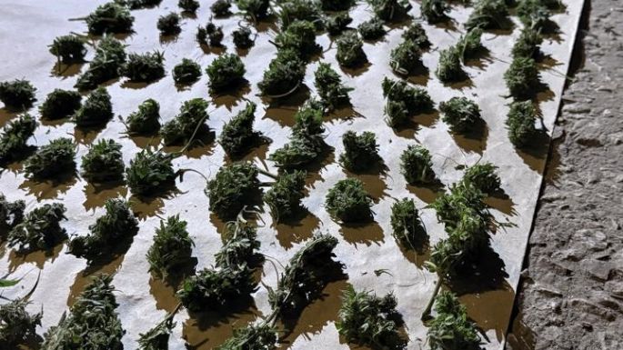 Dos detenidos tras el secuestro de cocaína, tussi y marihuana