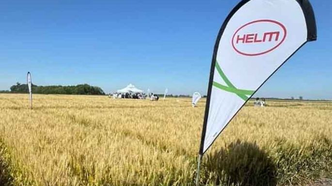 La empresa alemana Helm se va del país