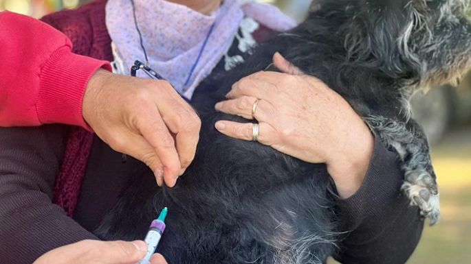 Aplicaron más de 120 dosis para mascotas