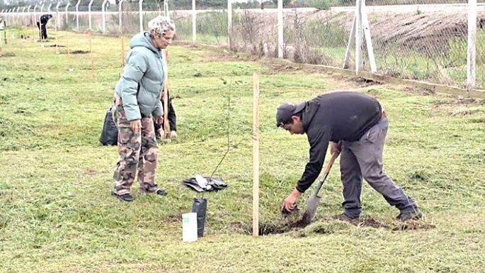 Nueva jornada de forestación en la Central de EPEC de Las Playas
