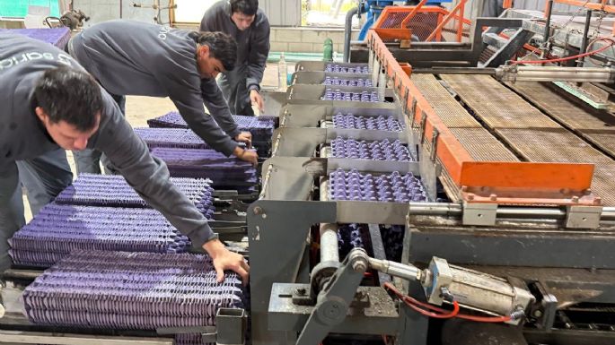 El cartón recuperado por la 7 de Febrero genera maples hechos por SARIA