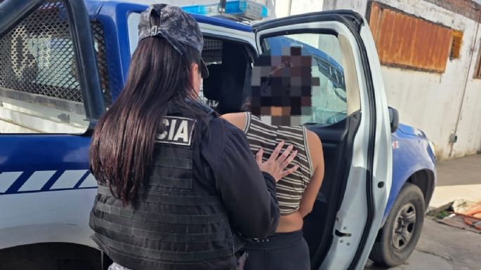 Dañó la puerta de una casa y un móvil policial: terminó detenida