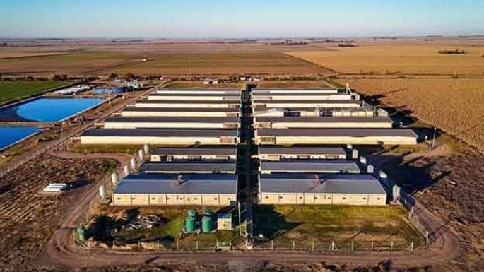 Provincia certifica créditos de carbono bajo el Estándar CBA