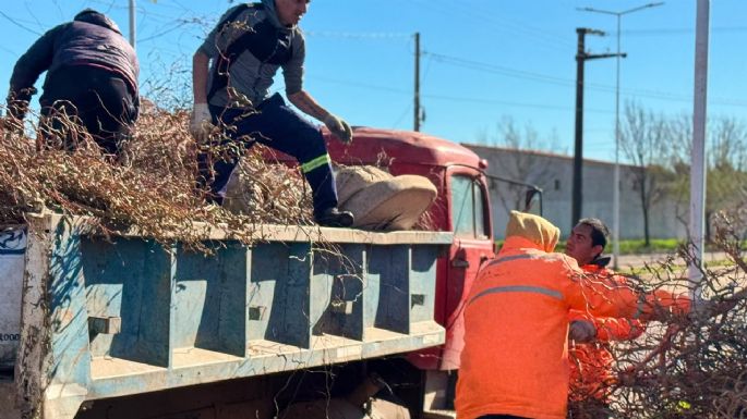 Realizan trabajos de mantenimiento y limpieza en el Parque y cuatro barrios