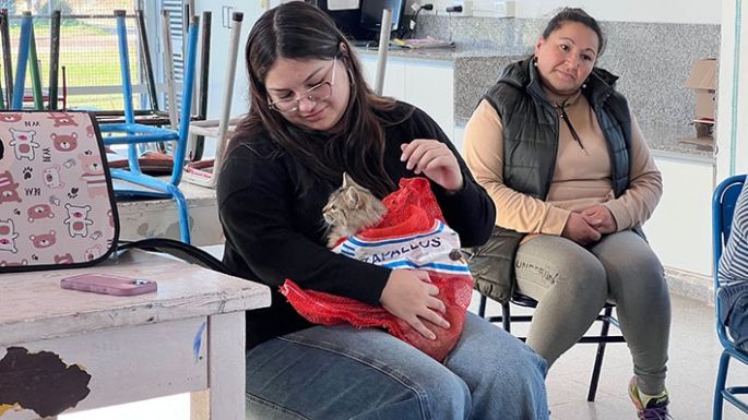 El Castramóvil llegó al barrio El Vallecito