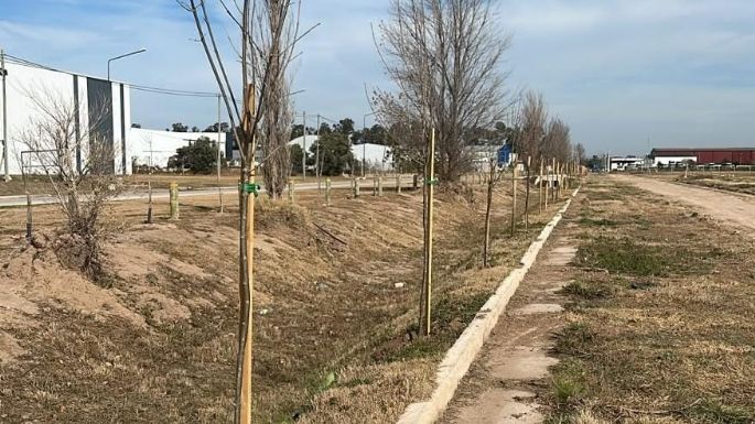 El PILT plantó más de 120 árboles en su sector de expansión