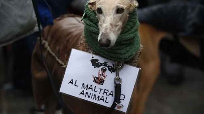 ¿Para cuándo?