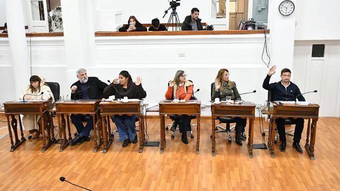 Cada perro o gato de la ciudad deberá tener su documento