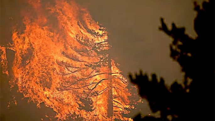Descomunales incendios que no dan tregua