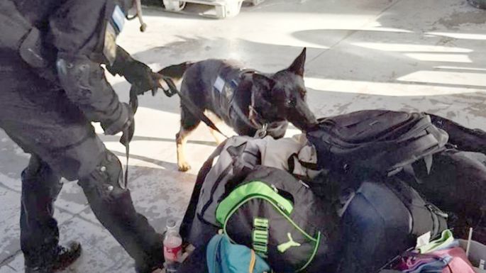 Incautan diversas sustancias en una fiesta electrónica