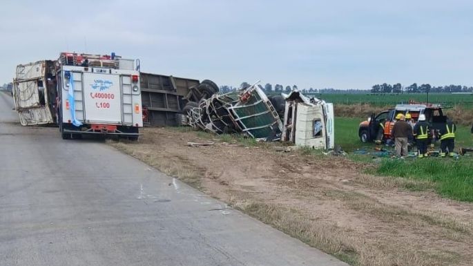 Tres heridos tras un choque entre un camión cargado con ganado y un auto