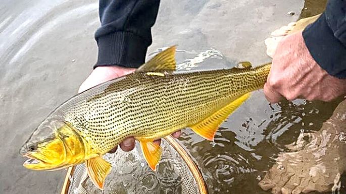 UNVM y pescadores por el río