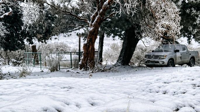 El frío extremo seguirá hasta el lunes y recién el martes llegará un alivio en la temperatura