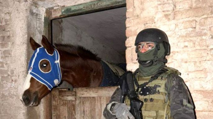 Desbarataron dos narcobandas en  21 allanamientos: nueve detenidos