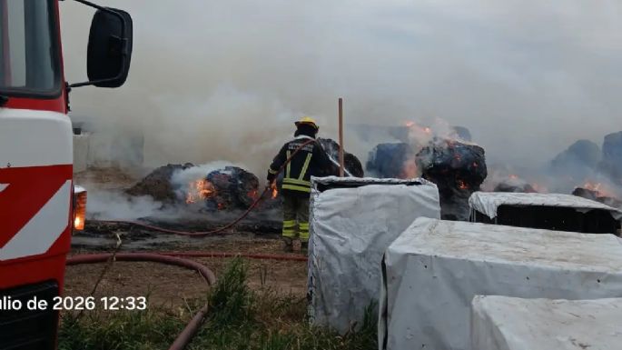 Bomberos controlaron un incendio rural y rescataron 30 terneros