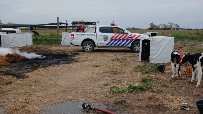 Bomberos controlaron un incendio rural y rescataron 30 terneros