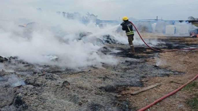 Bomberos controlaron un incendio rural y rescataron 30 terneros