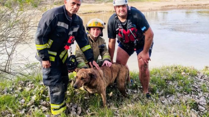 Bomberos rescataron a un perro en el río Ctalamochita