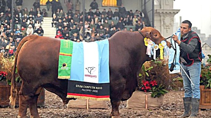 La genética cordobesa hizo historia en la Rural