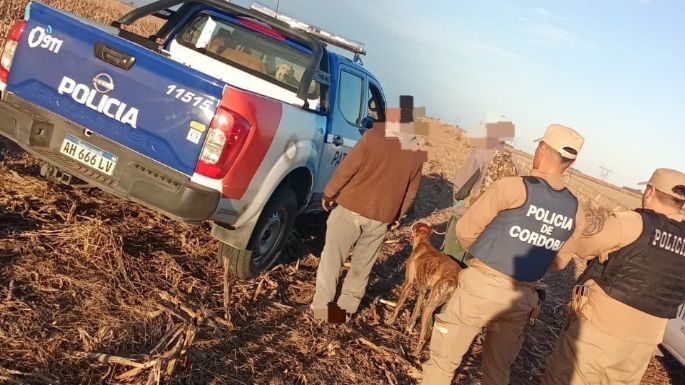 Secuestraron armas, animales silvestres y perros utilizados para la caza