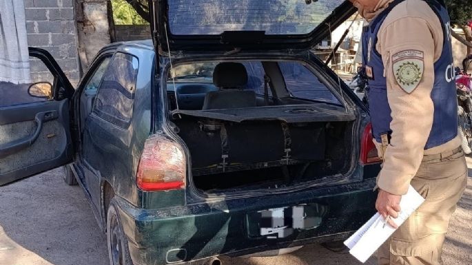 Secuestraron armas, animales silvestres y perros utilizados para la caza