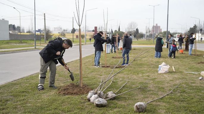 Plantaron fresnos por el Día del Árbol en la ciudad