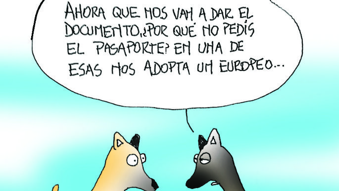 Humor 14/08/2026
