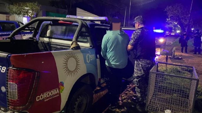 Detenido tras romper la vidriera de un comercio para robar dos baterías