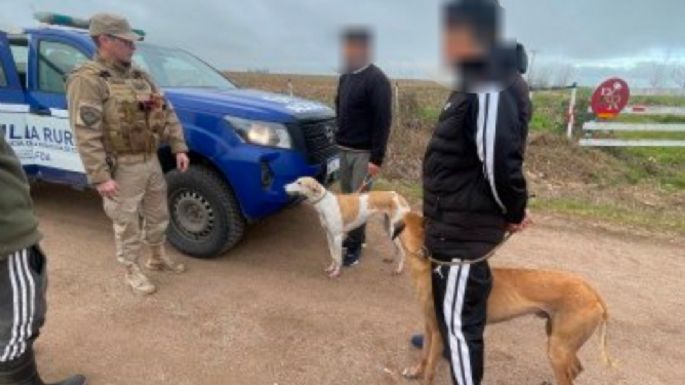 Operativo contra la caza ilegal: 15 detenidos y más de 35 galgos rescatados