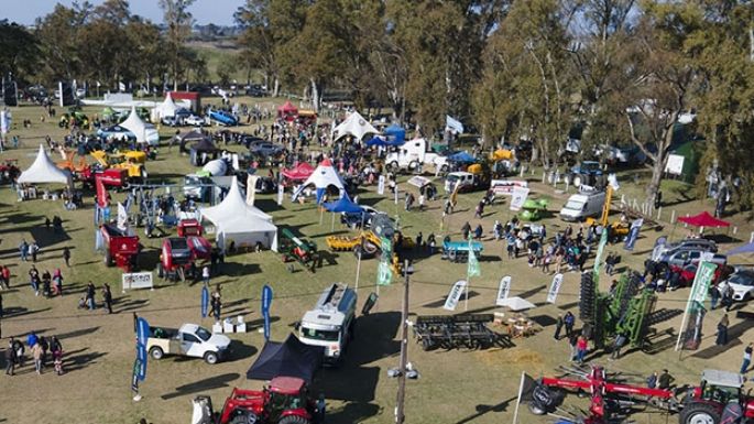 Razones para ser parte de la expo