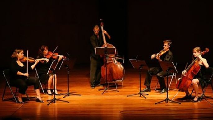 De violines, violas, violonchelos y más