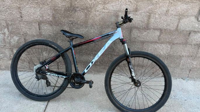 Intentaron robar una bicicleta en el Colegio Nacional y fueron detenidos