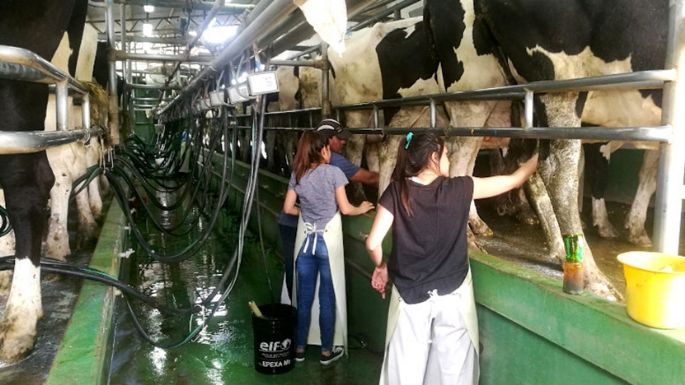 Del precio final, ¿cuánto le queda al productor?