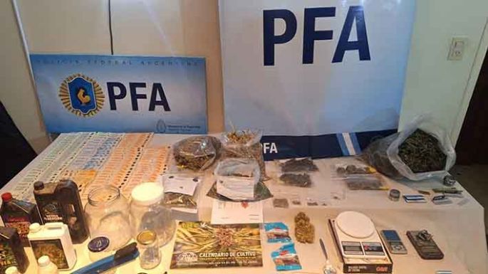 La Policía Federal desmanteló una instalación de marihuana