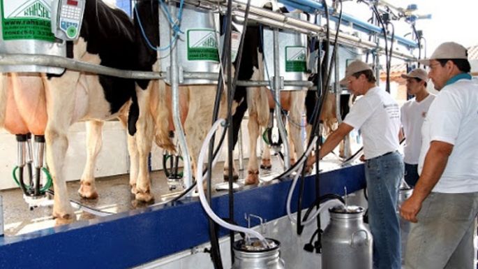 La producción de leche en Córdoba creció un 10% anual