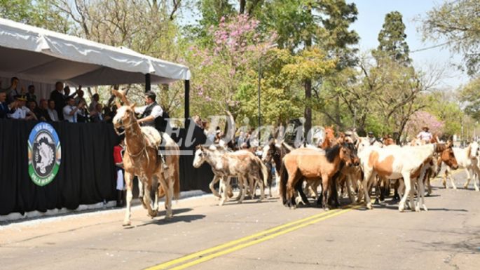 Imágenes del desfile