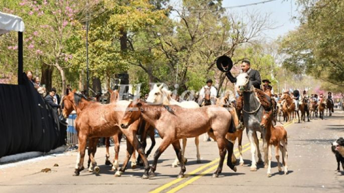 Imágenes del desfile