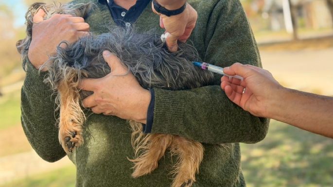 Más de 100 mascotas fueron vacunadas contra la rabia